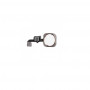 Bouton Home iPhone 6S/6S Plus Or